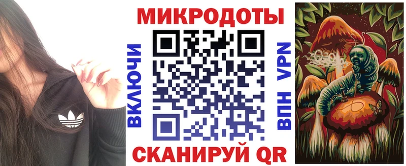 Галлюциногенные грибы Psilocybe  Вятские Поляны 