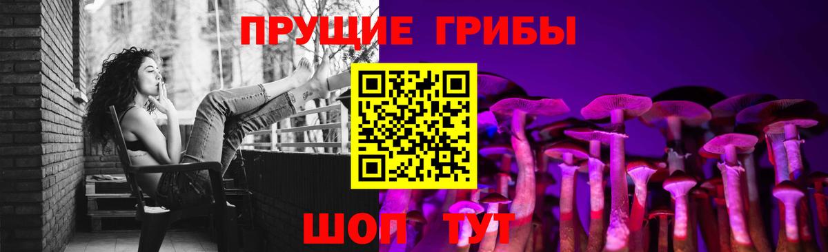 Вятские Поляны  купить  цена  Вход с VPN  Галлюциногенные грибы ЛСД  Псилоцибиновые грибы ЛСД 